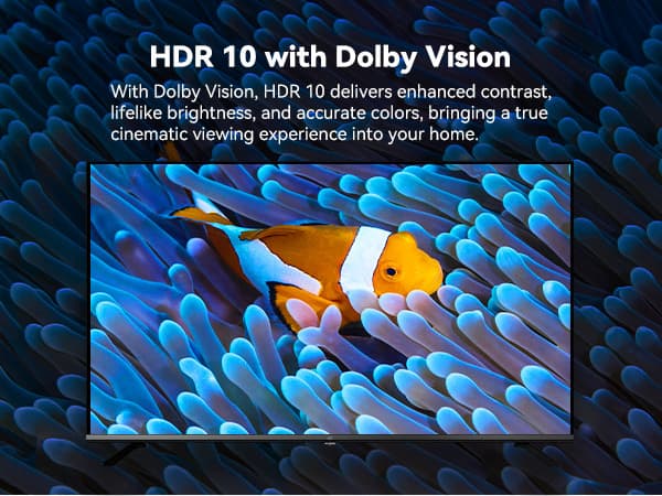 FPD 50" D900 4K LED Google TV
