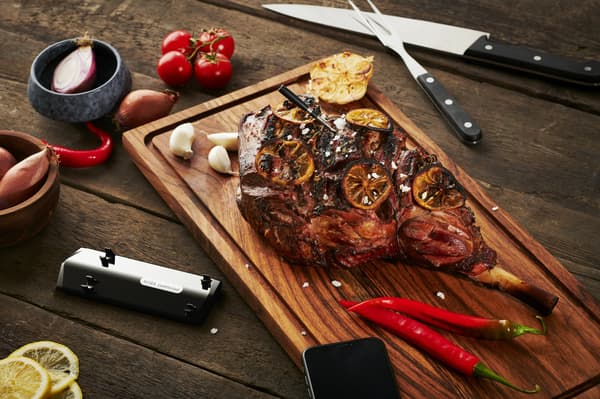 Witt CookPerfect Trådlös Enkel Stektermometer