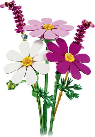 LEGO Botanicals 11514 - Rymdblommor
