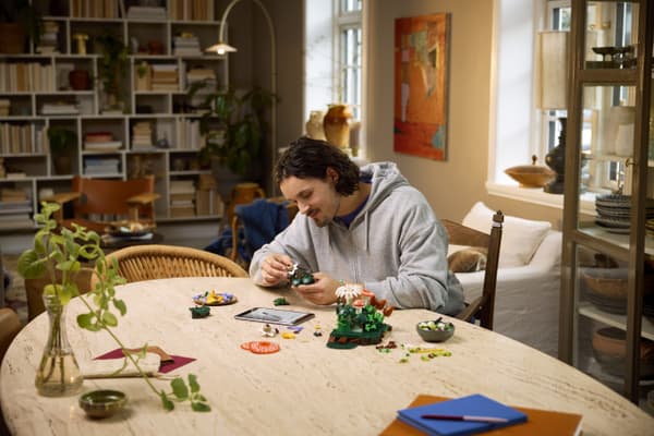 LEGO Botanicals 11505 - Skogens svampar