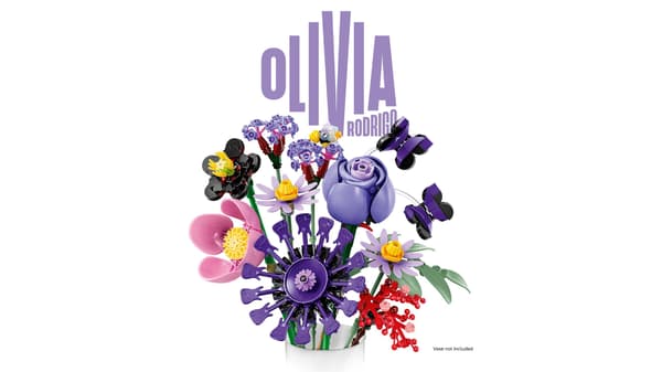 LEGO Botanicals 11507 Olivia Rodrigos blombukett