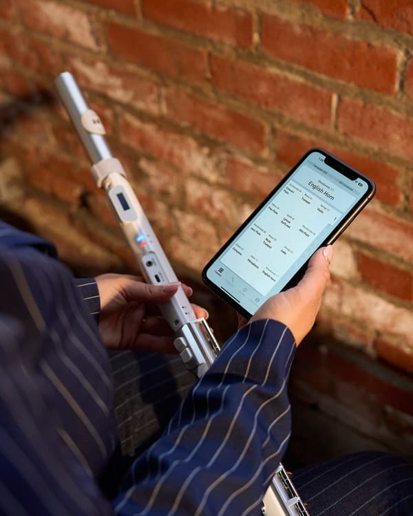 Roland Aerophone Brisa Digital Blåsinstrument
