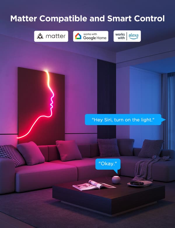 Govee Neon Rope Light 2 LED-ljusslinga, 4 m