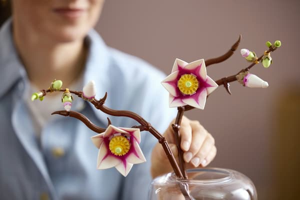LEGO Botanicals 11510 Magnoliakvistar