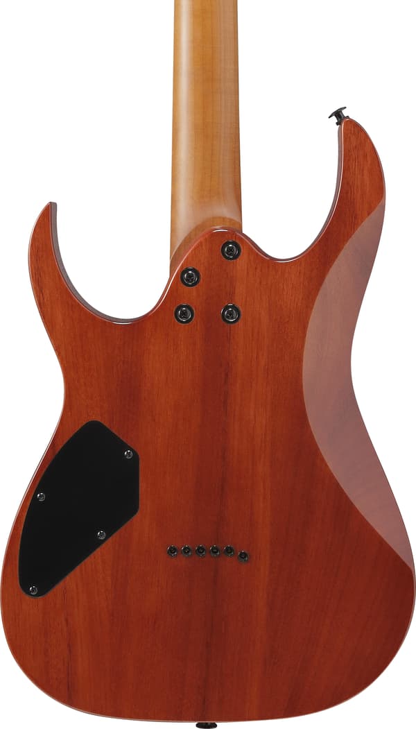 Ibanez GRGR221FA-TDK elgitarr, Transparent Indigo Black