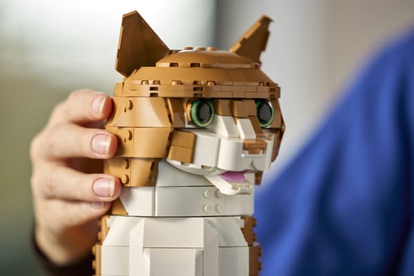 LEGO Ideas 21376 Orange katt