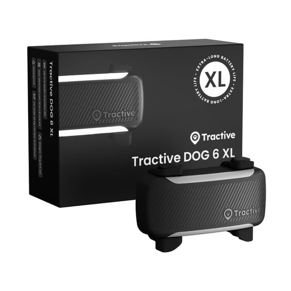 Tractive DOG 6 XL GPS-hundhalsband