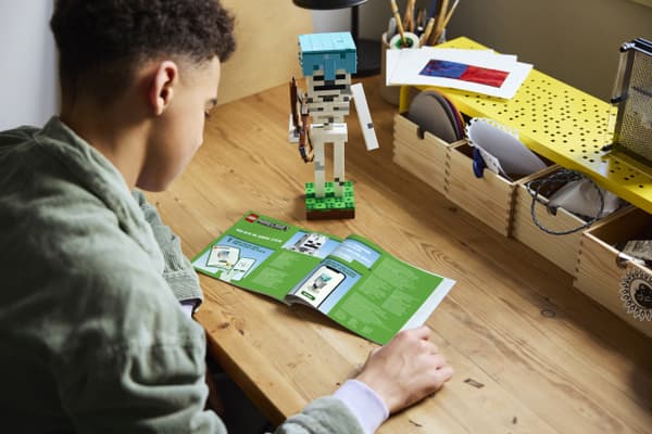 LEGO Minecraft 21594 - Skelett