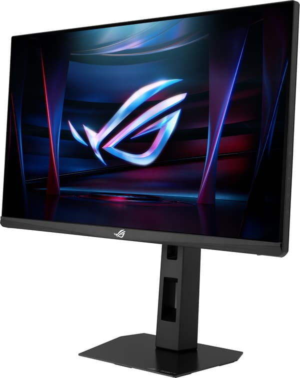 Asus ROG Strix ACE XG248QSG 24" spelskärm