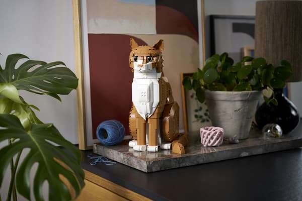 LEGO Ideas 21376 Orange katt