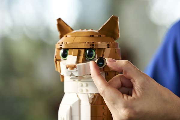 LEGO Ideas 21376 Orange katt