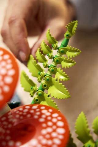 LEGO Botanicals 11505 - Skogens svampar