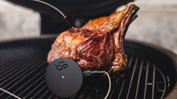 Witt CookPerfect Comfort Enkelt stektermometer