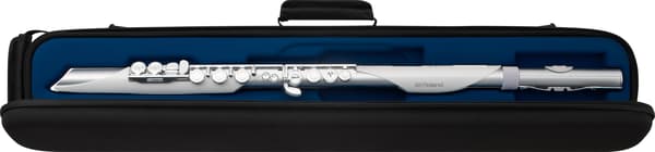 Roland Aerophone Brisa Digital Blåsinstrument