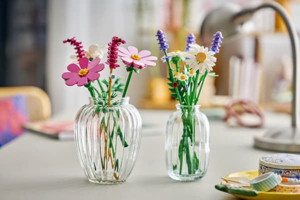 LEGO Botanicals 11514 - Rymdblommor