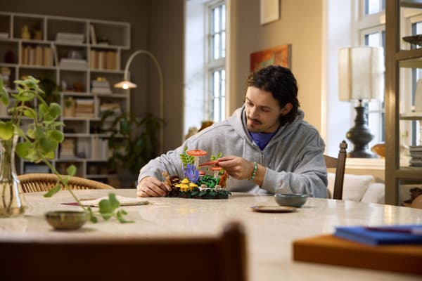 LEGO Botanicals 11505 - Skogens svampar