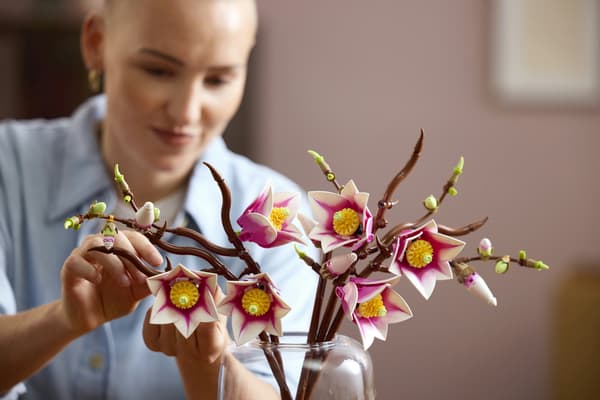 LEGO Botanicals 11510 Magnoliakvistar