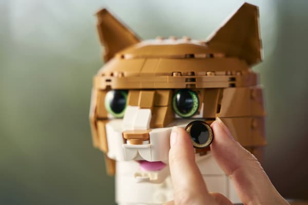 LEGO Ideas 21376 Orange katt
