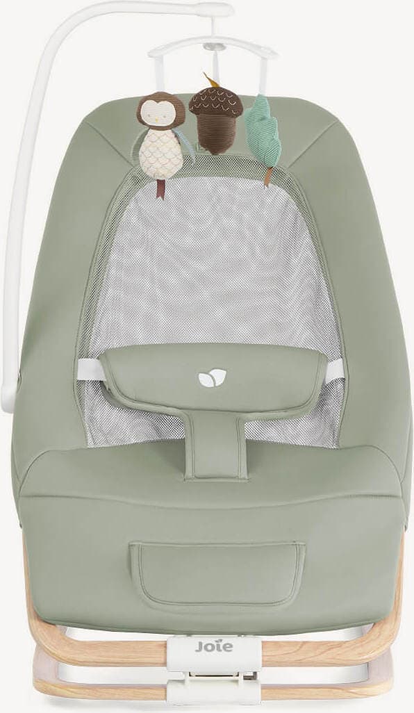 Joie Dreamer babysitter, Strata Mist Wood