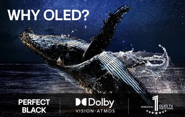 LG 48'' OLED B5 – 4K TV (API)