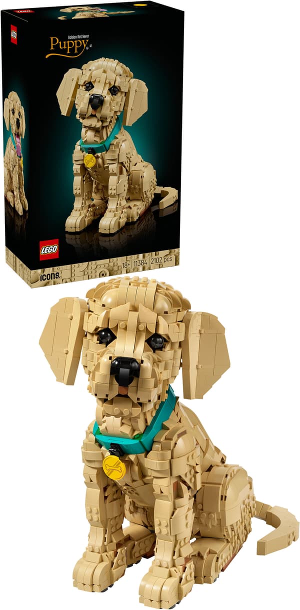 LEGO Icons 11384 Golden retriever-valp