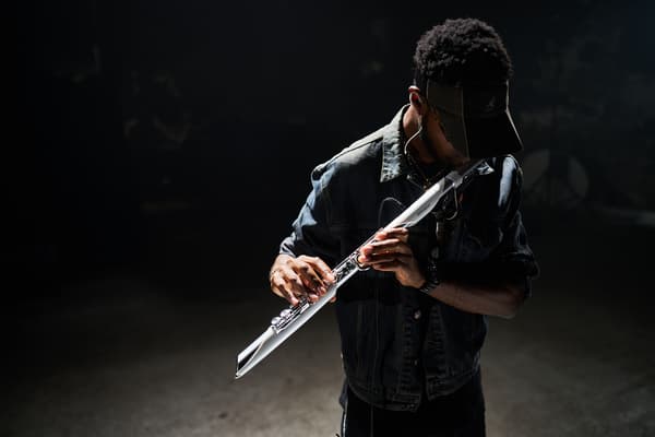 Roland Aerophone Brisa Digital Blåsinstrument