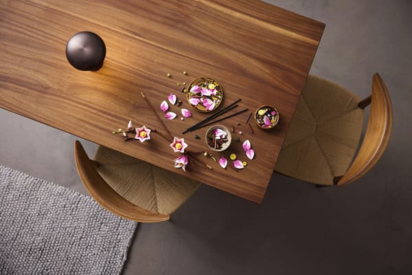 LEGO Botanicals 11510 Magnoliakvistar