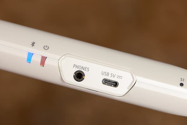Roland Aerophone Brisa Digital Blåsinstrument