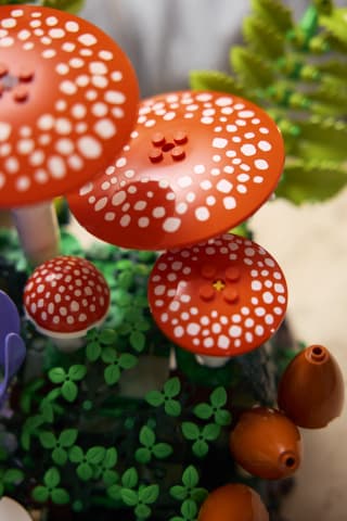 LEGO Botanicals 11505 - Skogens svampar