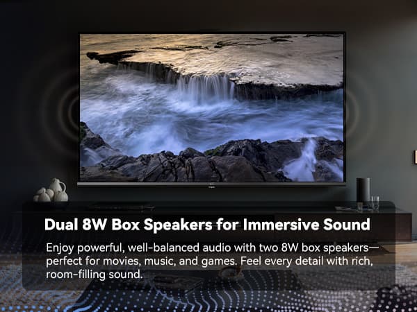 FPD 50" D900 4K LED Google TV
