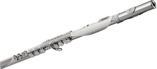 Roland Aerophone Brisa Digital Blåsinstrument