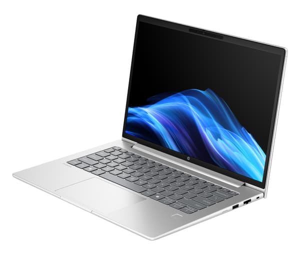 HP ProBook 4 G1a 14" bärbar dator, Windows 11 Pro (D35YLET)