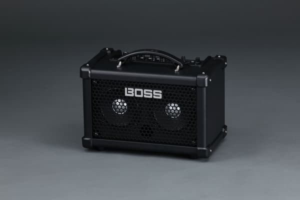 Roland Dual Cube Bass LX -stereoförstärkare för bas