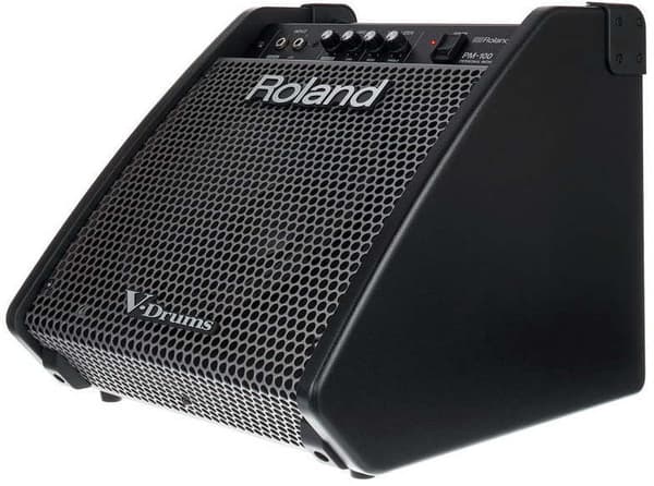 Roland PM-100 -monitor