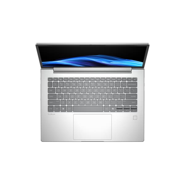 HP ProBook 4 G1a 14" bärbar dator, Windows 11 Pro (D35YLET)
