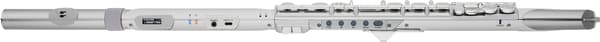 Roland Aerophone Brisa Digital Blåsinstrument