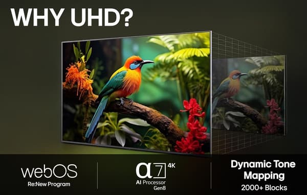 LG 55" UA73 – 4K LED-TV (API)