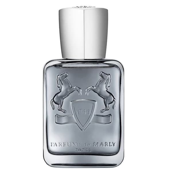 Castley Eau de Parfum Spray 75 ml Herr