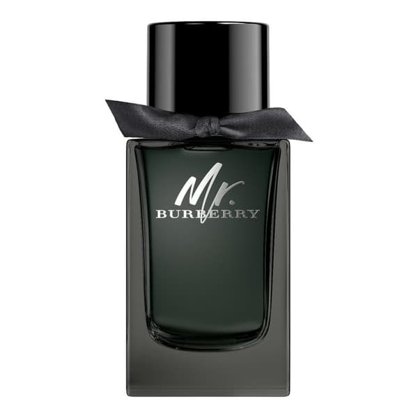 Mr. Burberry Eau de Parfum Spray 100 ml