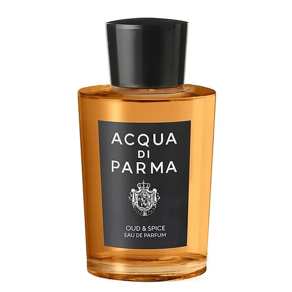 Oud & Spice Eau de Parfum spray 180 ml