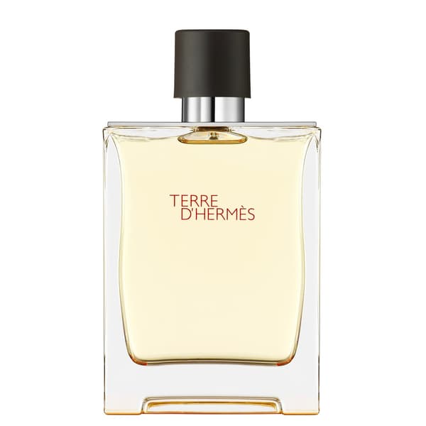 Hermès Terre d’Hermès Eau de Toilette 200 ml