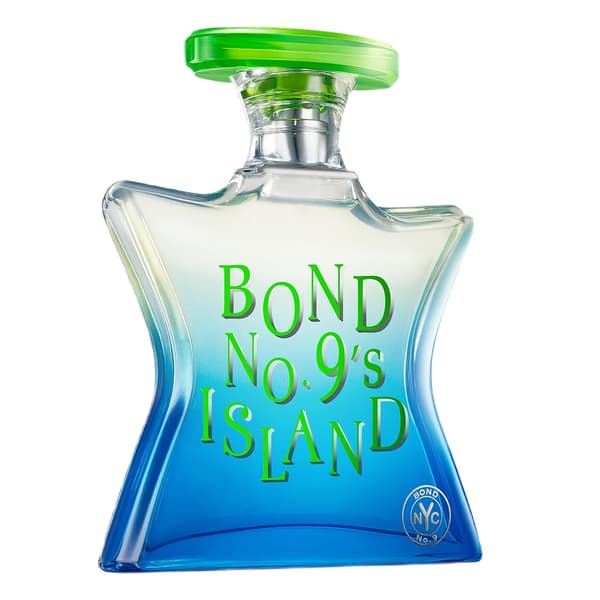 Island Eau de Parfum spray 100 ml unisex