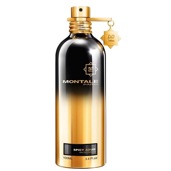 Montale Paris Spicy Aoud Eau de Parfum 100 ml Unisex