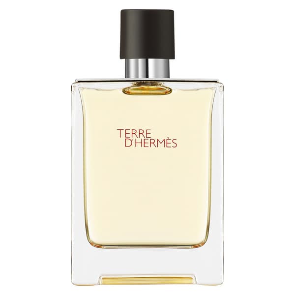 Hermès Terre d’Hermès Eau de Toilette 100 ml