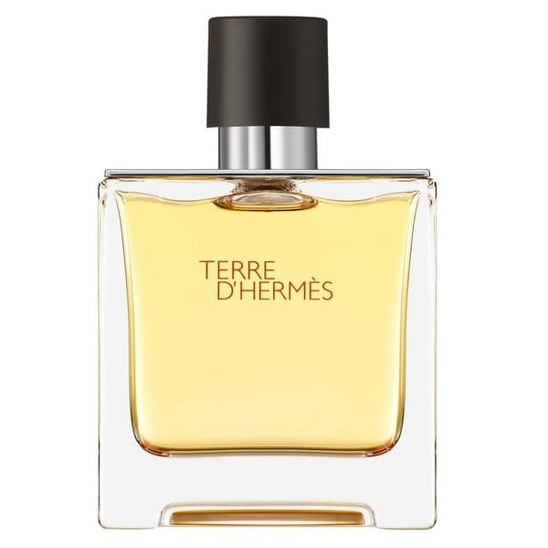 Hermès Terre d’Hermès Eau de Parfum 75 ml Herr