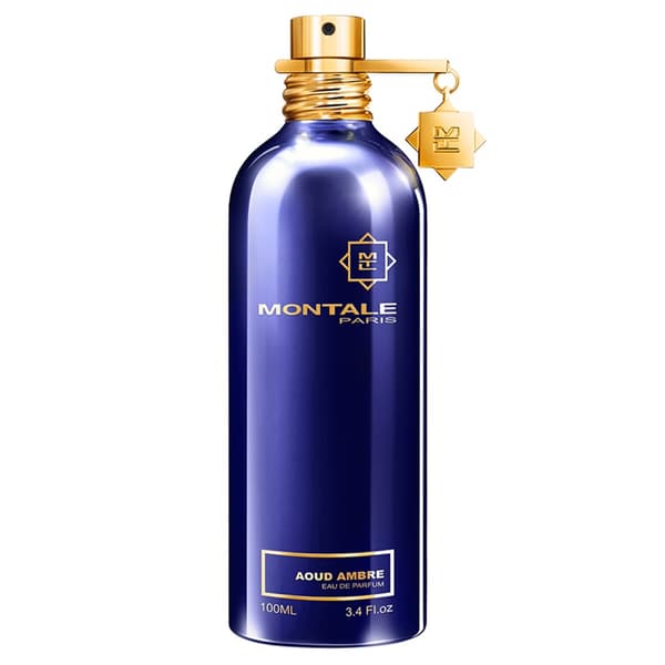 Montale Aoud Ambre Eau de Parfum Spray 100 ml