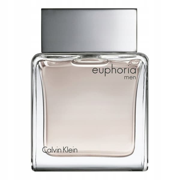 Calvin Klein Euphoria Men Eau de Toilette 100 ml