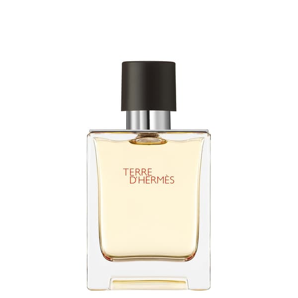 Hermès Terre d’Hermès Eau de Toilette Spray 50 ml