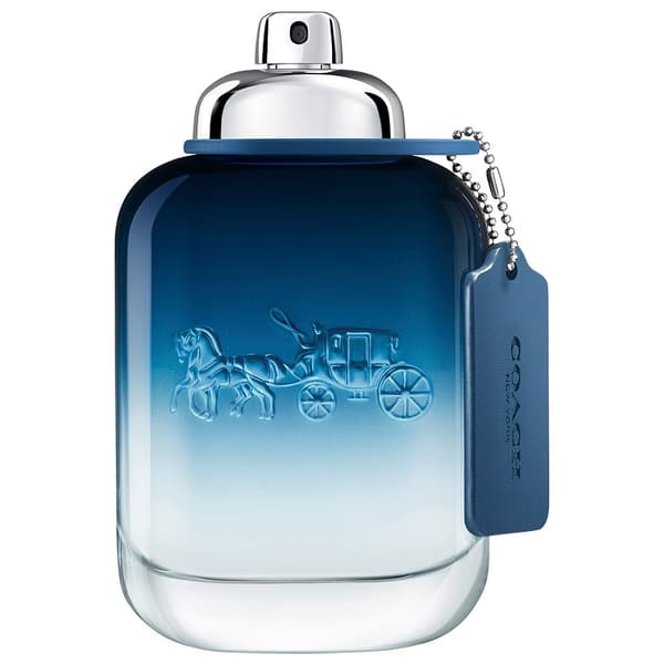Coach Blue Eau de Toilette 100 ml Herrparfym