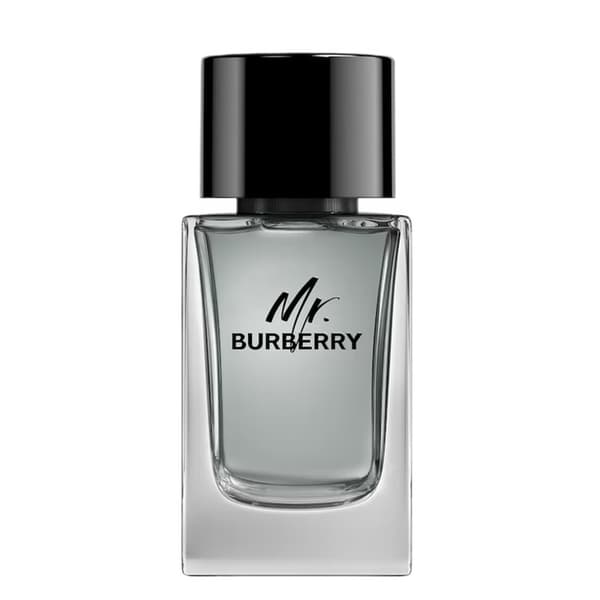 Mr. Burberry Eau de Toilette Spray 100 ml